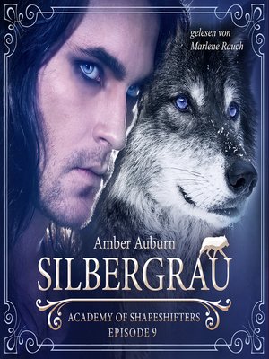 cover image of Silbergrau, Episode 9--Fantasy-Serie